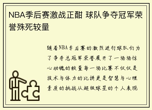 NBA季后赛激战正酣 球队争夺冠军荣誉殊死较量 NBA季后赛激战正酣 球队争夺冠军荣誉殊死较量
