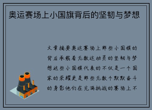 奥运赛场上小国旗背后的坚韧与梦想